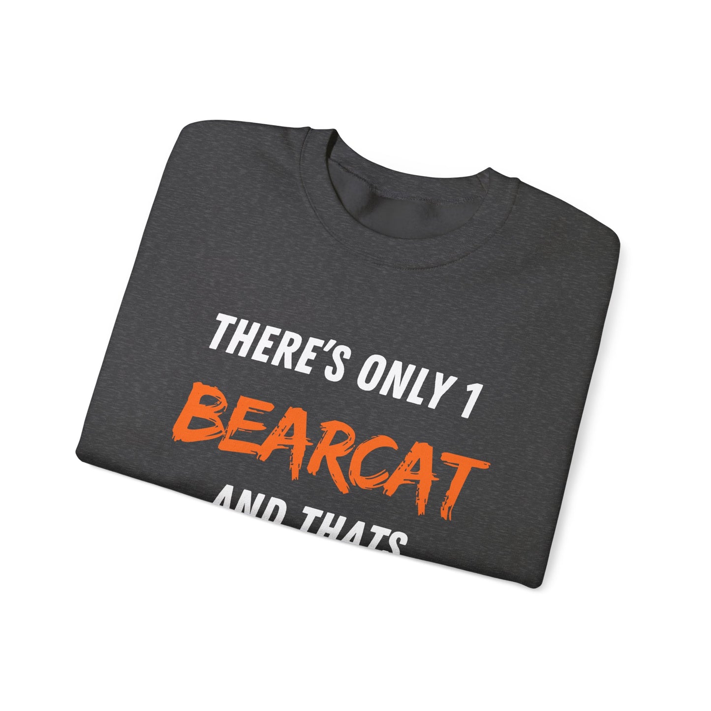 Aledo Bearcats Sweater