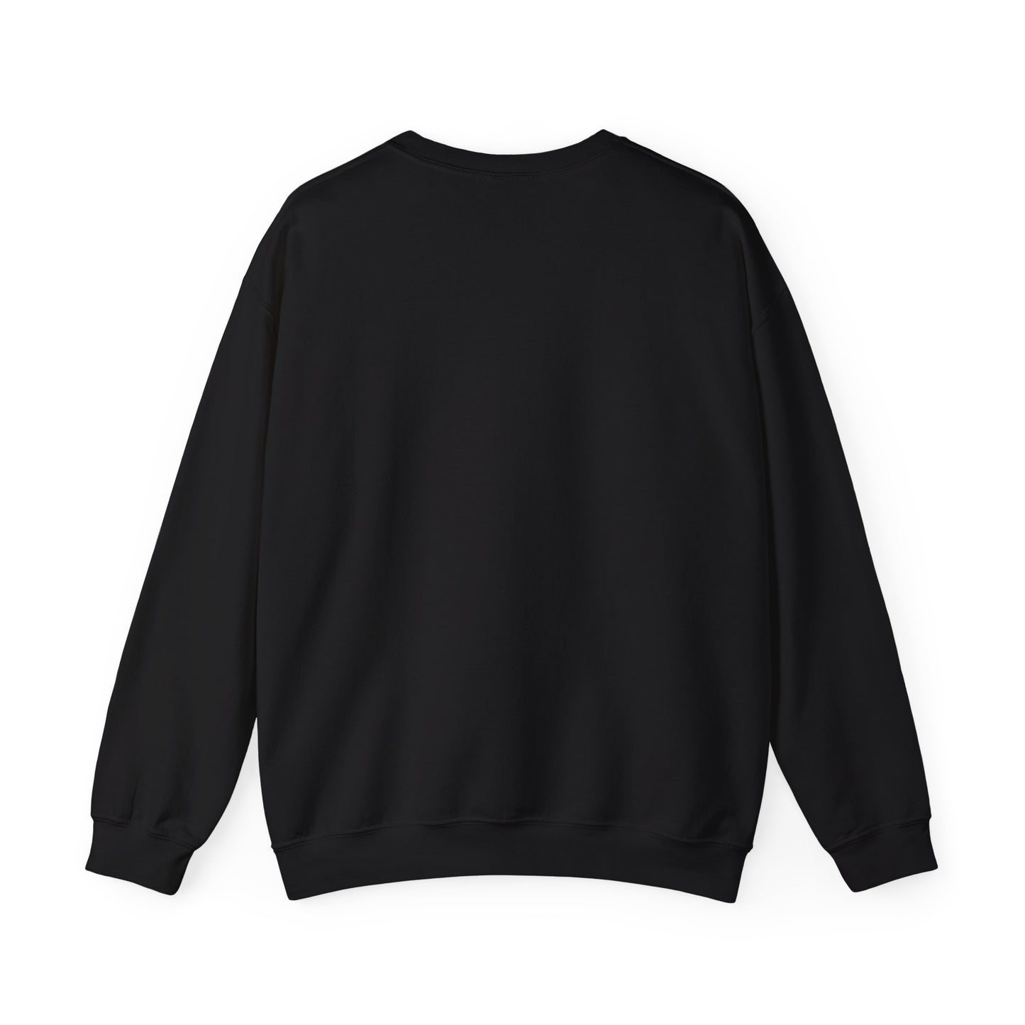 Aledo Bearcats Sweater