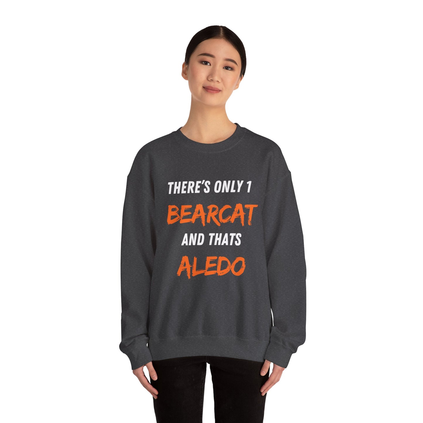 Aledo Bearcats Sweater